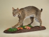 ls bobcat