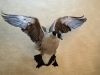 WIMG_1543-e1443722057297