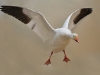 WIMG_1550-e1443721951391