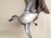 photo-1_3