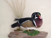 wood-duck-1