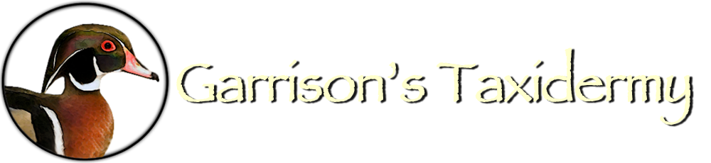 Garrison's Taxidermy Logo